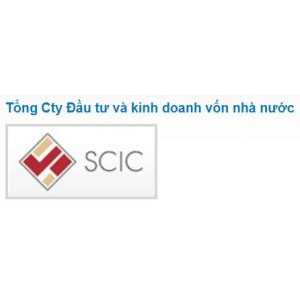 V. Đối tác chiến lược